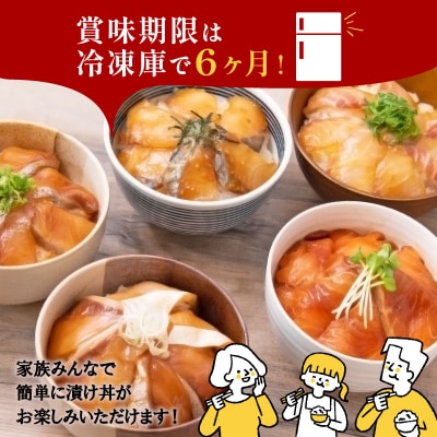 養殖 漬け丼 全9種 ランダム 6食 セット 南予ビージョイ D010-150005