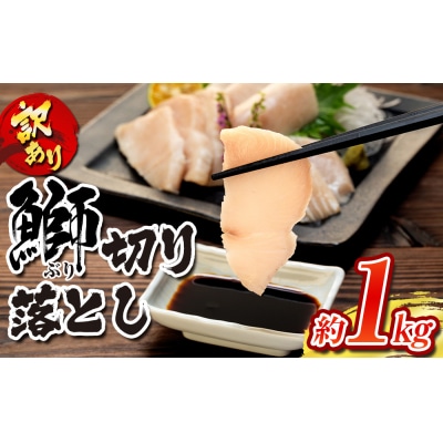 訳あり 養殖ブリの切り落とし 1kg 南予ビージョイ D012-150002