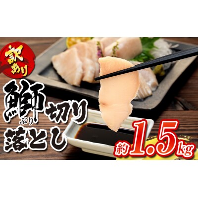 訳あり 養殖ブリの切り落とし 1.5kg 南予ビージョイ D017-150007