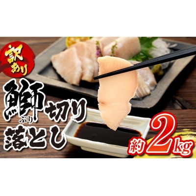 訳あり 養殖ブリの切り落とし 2kg 南予ビージョイ D021-150008