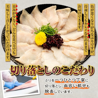 訳あり 養殖ブリの切り落とし 2kg 南予ビージョイ D021-150008