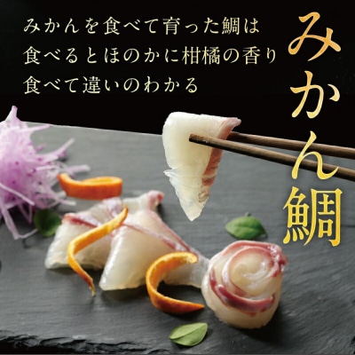 みかん鯛 お刺身の柵 2節 半身分 宇和島プロジェクト D012-071001