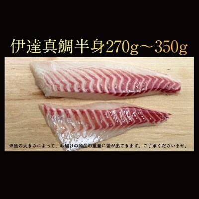 伊達真鯛 お刺身の柵 2節 半身分 宇和島プロジェクト D012-071002