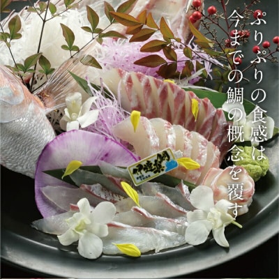 伊達真鯛 お刺身の柵 2節 半身分 宇和島プロジェクト D012-071002