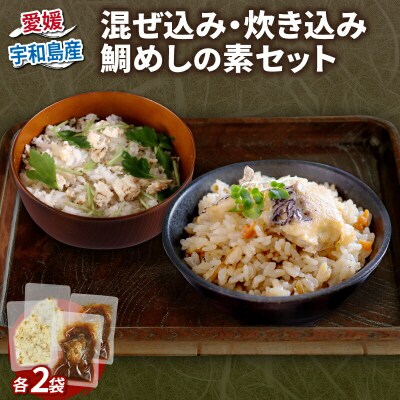 混ぜ込み 50g×2袋 炊き込み 170g×2袋 鯛めしの素セット コバヤ D012-059008