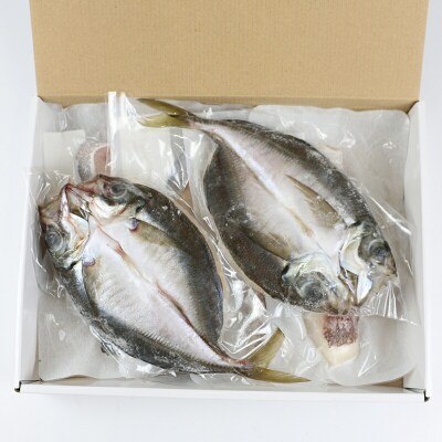 三種(真鯛 カンパチ 鯵)の一夜干しセット こもねっと D010-008002