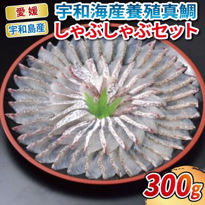 宇和海産 養殖真鯛 しゃぶしゃぶセット エビス D020-047002