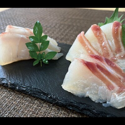 真鯛 昆布旨味〆 詰合せ 辻水産 D012-062004