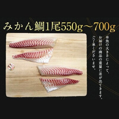 みかん鯛 お刺身の柵 4節 1尾分 宇和島プロジェクト D022-071004