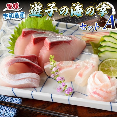 遊子の海の幸セットA (真鯛・ハマチ) 愛媛県漁業協同組合 遊子支所 D018-022001