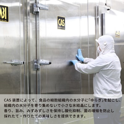 遊子の海の幸セットA (真鯛・ハマチ) 愛媛県漁業協同組合 遊子支所 D018-022001