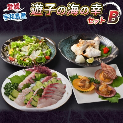 遊子の海の幸セットB (真鯛・ハマチ・緋扇貝) 愛媛県漁業協同組合 遊子支所 D024-022003