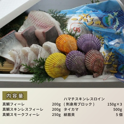 遊子の海の幸セットB (真鯛・ハマチ・緋扇貝) 愛媛県漁業協同組合 遊子支所 D024-022003