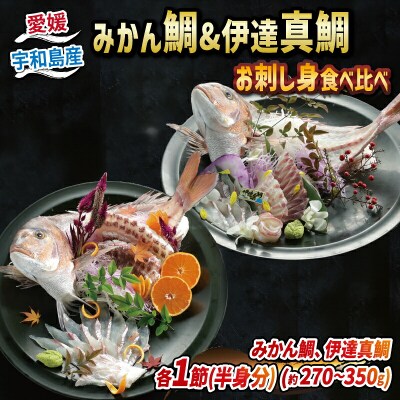 みかん鯛 & 伊達真鯛 お刺身食べ比べ 宇和島プロジェクト D012-071003