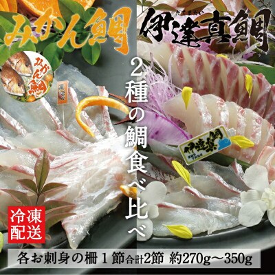 みかん鯛 & 伊達真鯛 お刺身食べ比べ 宇和島プロジェクト D012-071003