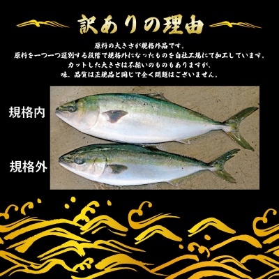 訳あり ブリの切身 2kg 味付けオイル付 南予ビージョイ D018-150015