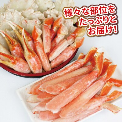 ボイル本ずわいがに むき身セット 約1kg ニューバーク D016-116007