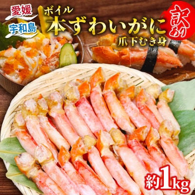 訳あり ボイル本ずわいがに 爪下むき身 約1kg ニューバーク D016-116019