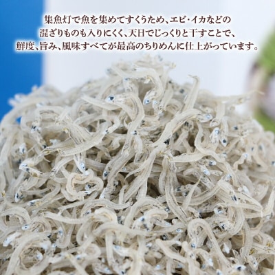 すくいちりめん 75g×6袋 愛媛県漁業協同組合 宇和島支所 D018-027003