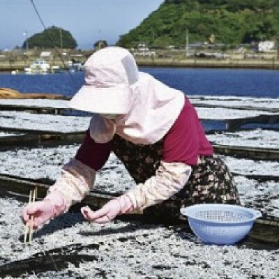 特選 すくいちりめん 75g×5袋 愛媛県漁業協同組合 宇和島支所 D018-027004