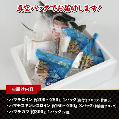 遊子のハマチセット 愛媛県漁業協同組合 遊子支所 D012-022005