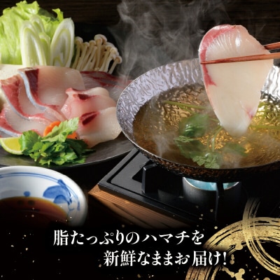 遊子のハマチセット 愛媛県漁業協同組合 遊子支所 D012-022005