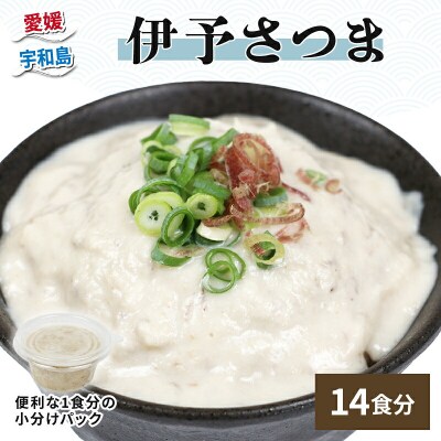 伊予さつま 14食 河野鮮魚店 D010-177001