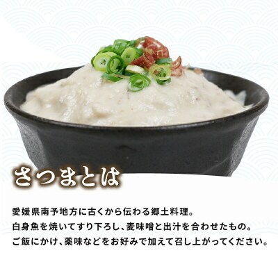 伊予さつま 14食 河野鮮魚店 D010-177001