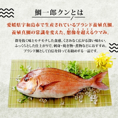 鯛一郎クン 藁焼き丼の具 コバヤ D020-059010