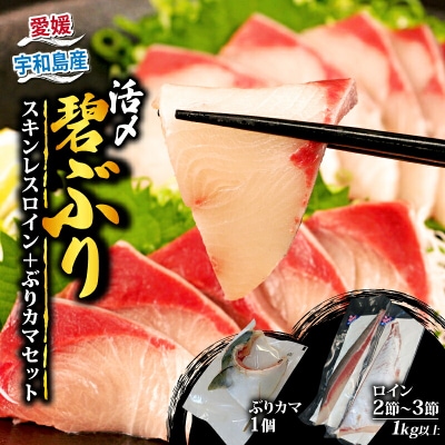 活〆 碧ぶり スキンレスロイン・カマ 南予ビージョイ D021-150009