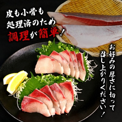 活〆 碧ぶり スキンレスロイン・カマ 南予ビージョイ D021-150009