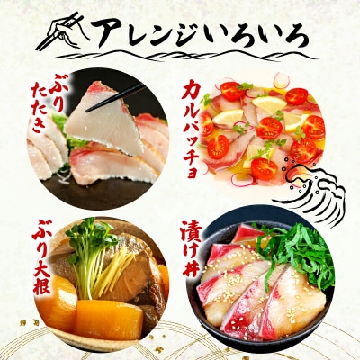 活〆 碧ぶり スキンレスロイン・カマ 南予ビージョイ D021-150009