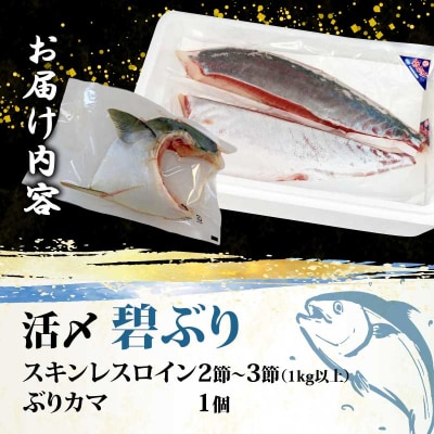 活〆 碧ぶり スキンレスロイン・カマ 南予ビージョイ D021-150009