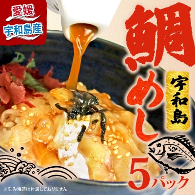 宇和島 鯛めし 5パック 南予ビージョイ D010-150011