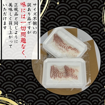 訳あり 宇和海産 真鯛お刺身 宇和島プロジェクト D010-071015