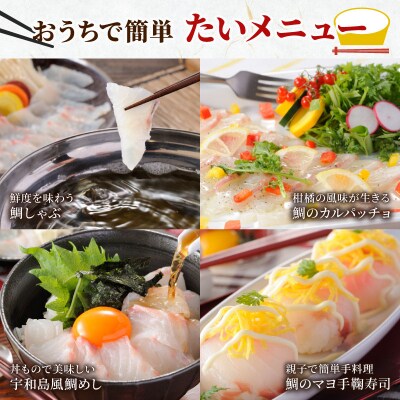 みかん愛たい スキンレスロイン 南予ビージョイ D014-150012