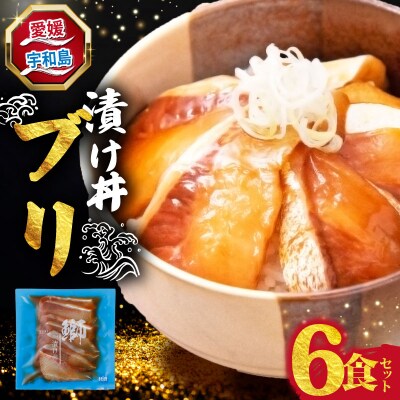 漬け丼 ブリ 6食セット 南予ビージョイ D010-150023