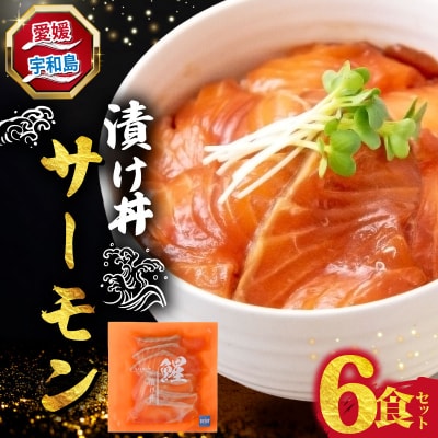 漬け丼 サーモン 6食セット 南予ビージョイ D010-150024