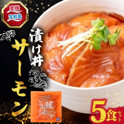 漬け丼 サーモン 5食セット 南予ビージョイ D010-150024