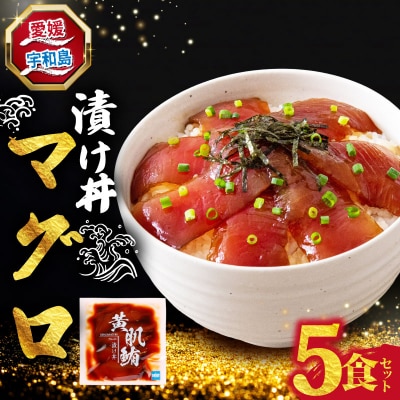 漬け丼 マグロ 5食セット 南予ビージョイ D010-150026