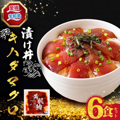 漬け丼 マグロ 6食セット 南予ビージョイ D010-150026