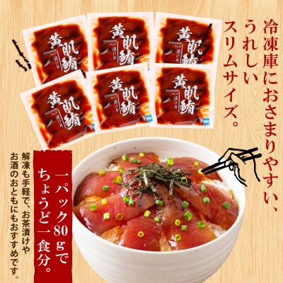 漬け丼 マグロ 6食セット 南予ビージョイ D010-150026
