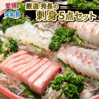 厳選 秀長の刺身5点 (真鯛・ブリ・カンパチ・ヒラメ・本マグロ) 秀長水産 D030-016003