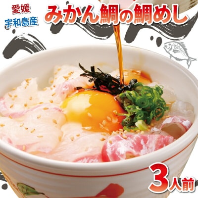 みかん鯛の宇和島鯛めしセット 和日輔 D010-091003