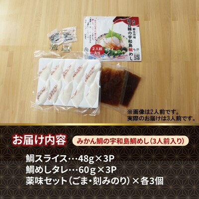 みかん鯛の宇和島鯛めしセット 和日輔 D010-091003