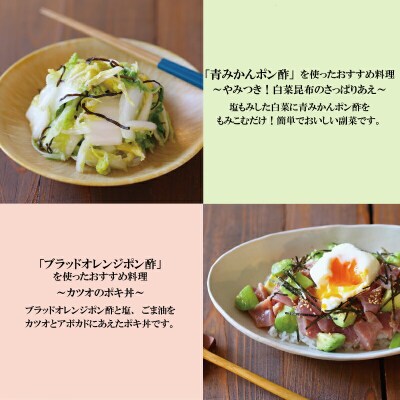 老舗のポン酢　5種セット　旭合名会社　J012-052004