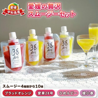 愛媛の贅沢　スムージーセット　コバヤ　J020-059004