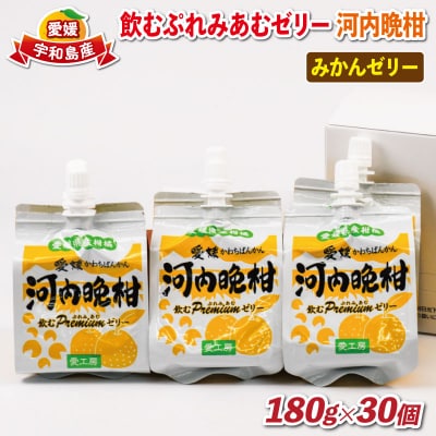 飲むぷれみあむゼリー　河内晩柑　愛工房　J025-034007