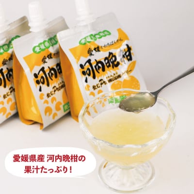 飲むぷれみあむゼリー　河内晩柑　愛工房　J025-034007