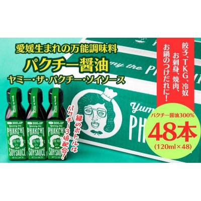 パクチー醤油　300%　48本セット　旭合名会社　J145-052019